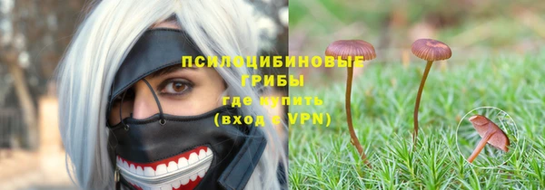 хмурый Абаза