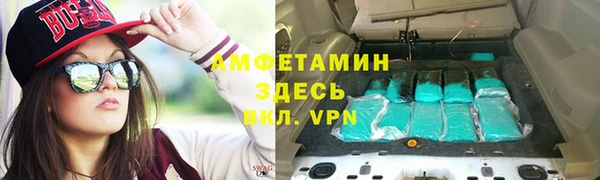 хмурый Абаза