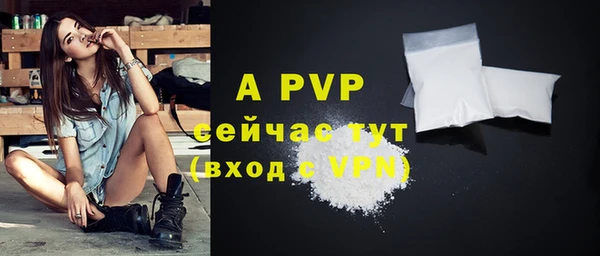 хмурый Абаза