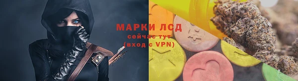 сатива Абинск