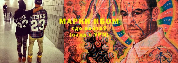 хмурый Абаза