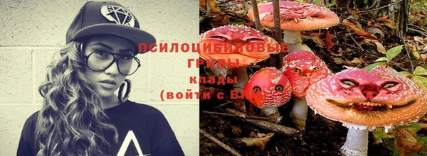 хмурый Абаза