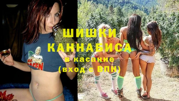 сатива Абдулино