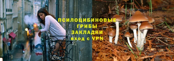 сатива Абинск