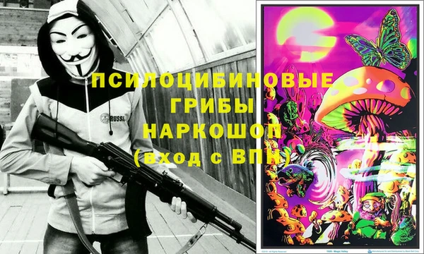 хмурый Абаза
