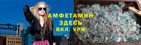 сатива Абинск