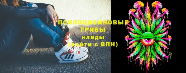 хмурый Абаза